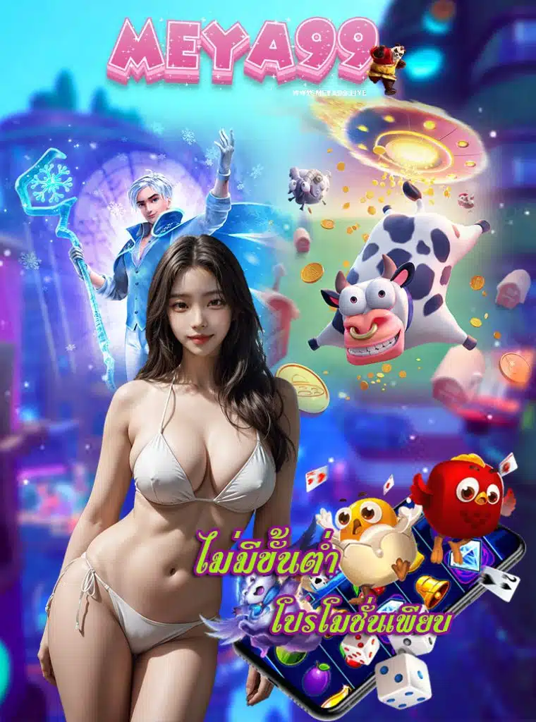 meya99 ทางเข้า